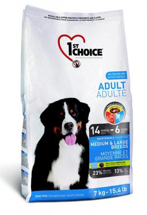 מזונות הכלבים היבשים הטובים ביותר לשנת 2018