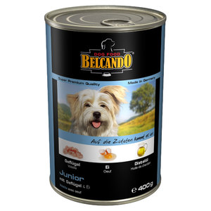 התזונה הטובה ביותר עבור חיות המחמד האהובות שלכם התזונה הטובה ביותר עבור חיות המחמד האהובות שלכם