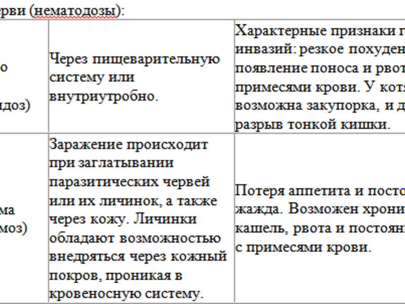 טפילים ותולעים בחתולים - סוגים שונים ותיאור.