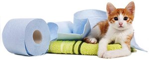 טיפול בעצירות אצל חתולים טיפול בעצירות אצל חתולים - תרופות וצמחי מרפא.