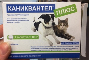 קאניקוונטל פלוס מסייע בטיפול ובמניעת תולעים בכלבים וחתולים.