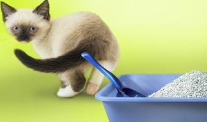 טיפול בעצירות אצל גורים צעירים מאוד צריך להיעשות בזהירות מיוחדת.