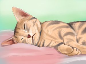 תמונה של חתלתול חולה החתול חולה, שוכב, לא אוכל כלום, צריך לראות וטרינר בדחיפות!