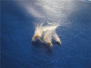 כאשר פרוות החתול נושרת בגושים גורמים לנשירת שיער