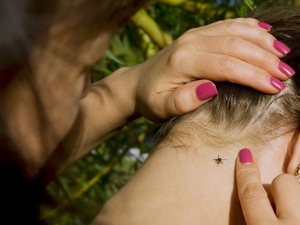 גורמים לבורליוזיס הנישאת על ידי קרציות