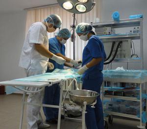 השלכות לאחר סירוס השלכות אפשריות לאחר סירוס