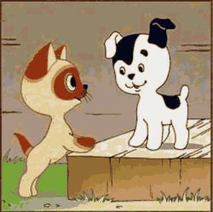 איך לבחור כינוי לחיית המחמד שלך