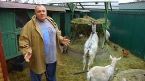 גידול עיזים: כיצד לגדל ולטפל, וידאו