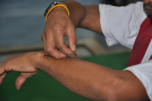 האם סקולופנדרס מסוכן לבני אדם? השלכות של נשיכת סקולופנדרה על אדם