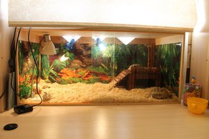 מבט כללי על הטרריום בניית בית צבים