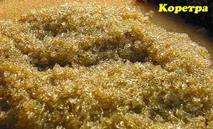 מזון חי לדגי אקווריום - קורטרה ניתן לרכוש מזון לדגים חיים בחנויות מתמחות.