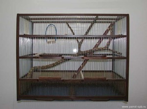 כלוב לתוכים איזה סוג כלוב צריך להיות לתובג'י?