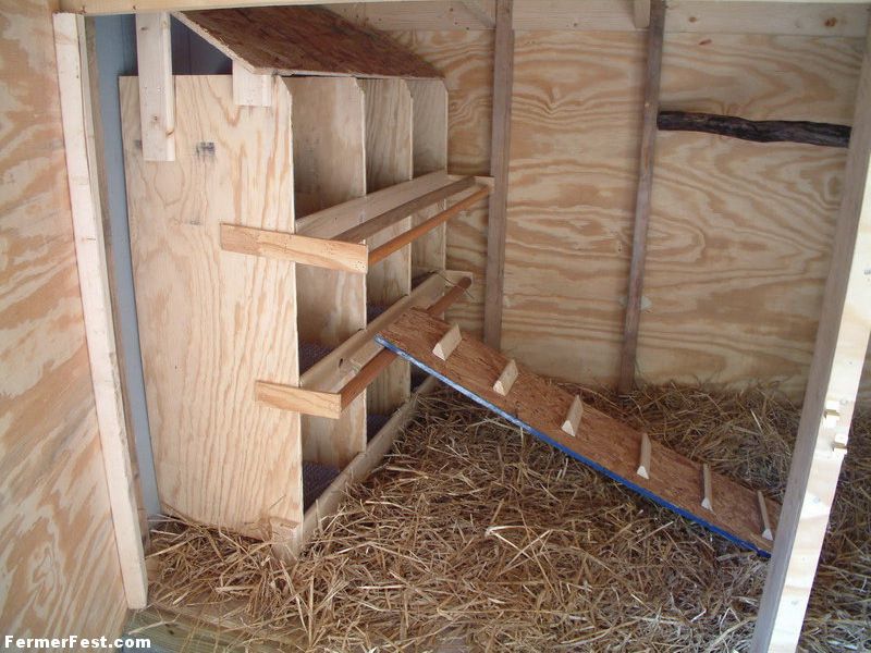 קיני תרנגולות DIY - אילו סוגים יש?