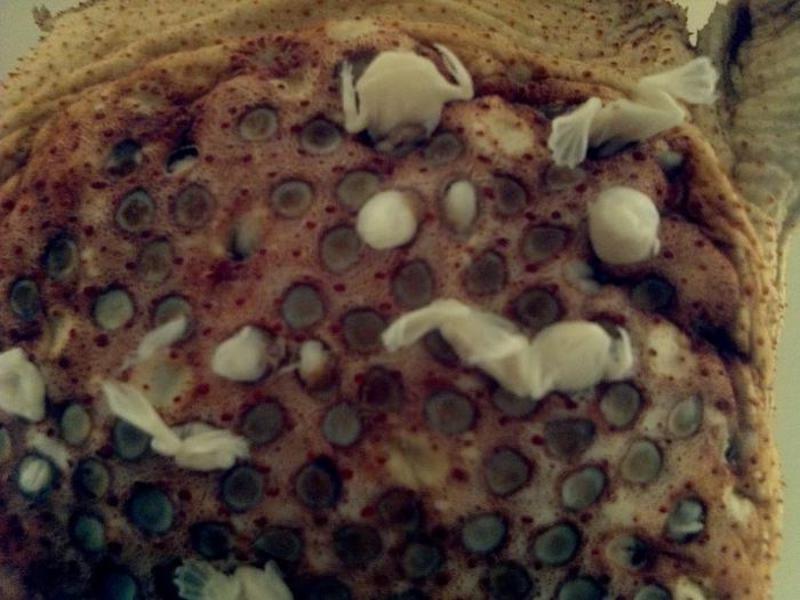 בית הגידול של הפיפה