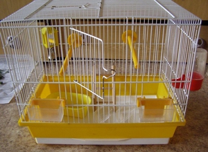 מהו הכלוב הטוב ביותר לגידול פינקים בבית? תכונות של בחירת כלוב לשמירת פינקים בבית