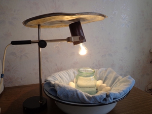 יתרונות של אינקובטורים תוצרת בית