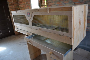 דגר תוצרת בית