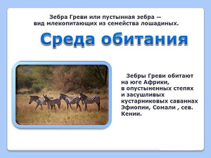 היכן חיות זברות ואילו תנאים הן צריכות לחיות?