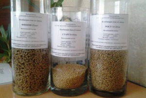 האכלת ברוילרים מה להאכיל ברוילרים