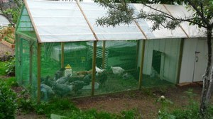 איך לבנות לול תרנגולות בעצמך