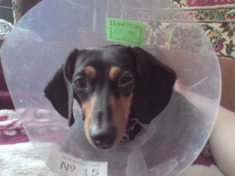 מחלות דקסהונד - אבחון וטיפול