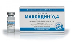 מקסידין לכלבים וחתולים: הוראות שימוש