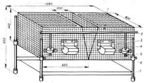 ממה להכין כלוב