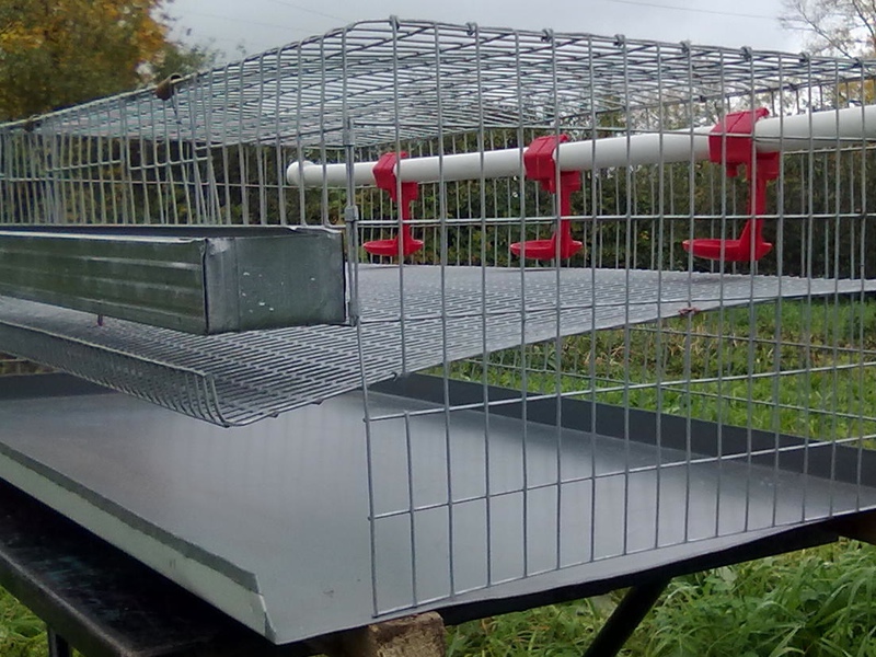 כלוב שליו DIY