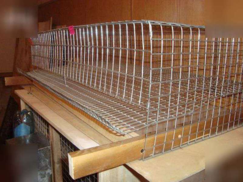 איך לבנות כלוב של נץ דרור