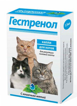 השפעת טיפות גסטרנול לחתולים טיפות אינטימיות עצור לחתולים