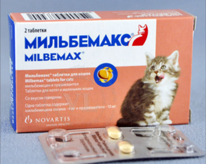 מילבמקס, תרופה אנטי-תלמינטית לחתולים תרופה אנטי-תלמינטית לחתולים - מניעה וטיפול