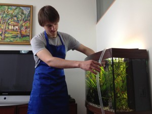 איך לטפל בדגי דניו באקווריום הוראות טיפול בדגי אקווריום Danio