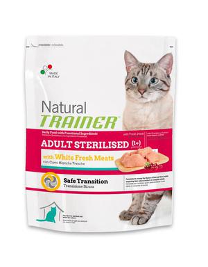 רשימת מזונות לחתולים איך לבחור אוכל לחתולים