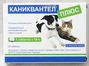 קאניקוונטל פלוס: הוראות שימוש ושימוש לחתולים ולכלבים