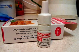 טיפות למניעת הריון גסטרנול לחתולים 1.5 מ"ל גסטרנול הוא אמצעי מניעה לחתולים בטיפות.