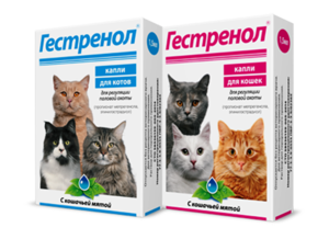 פתרון לכל בעיות התשוקה המינית אצל חתולים את הפתרון לבעיות מיניות של חתולים ניתן למצוא בצורת טיפות נוחות.