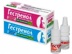 טיפות גסטרנול לחתולים טיפות גסטרנול נמכרות בבתי מרקחת וחנויות וטרינריות.