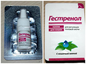 טיפות לחתולים לוויסות התשוקה המינית - איך ליטול אותן.