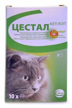 ססטל לחתולים התרופה צסטאל