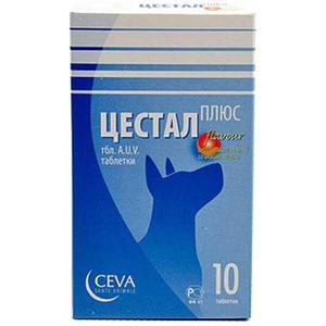 תרופה לחתולים תרופה לחתולים