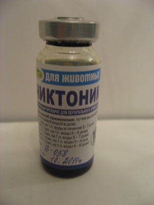 כיצד לאחסן את המוצר המלצות לאחסון המוצר