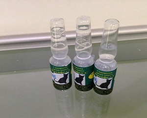 הוראות מיוחדות לשימוש בוויטפל C לטיפול בחתולים