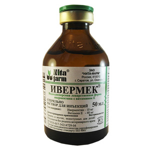 מהו המינון המומלץ של איברמקטין לכלבים? מינון מומלץ של איברמקטין לכלבים