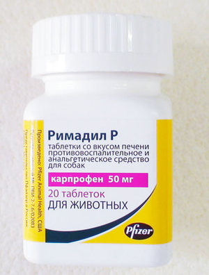 רימדיל לכלבים איך ליטול רימדיל