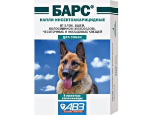 איך להיפטר מקרציות על כלב