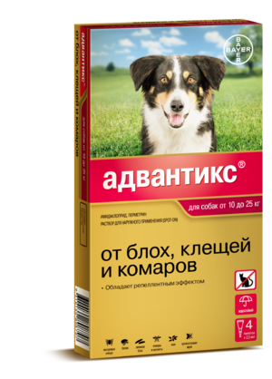 לחימה בקרציות ופרעושים על כלבים