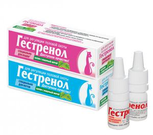 ביקורות וטרינר ביקורות של בעלי חתולים