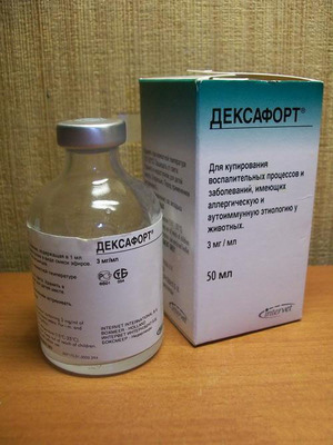 התרופה אינטרבט - הוראות ואינדיקציות