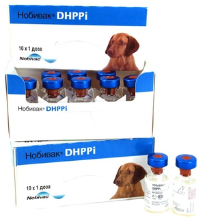 נביאק לפטו לכלבים