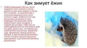 בטבע, קיפודים מבלים את החורף במאורות.